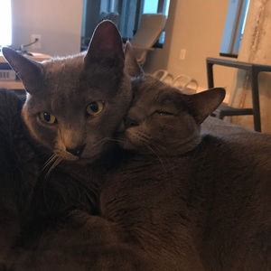 Meet your Posher, Lya